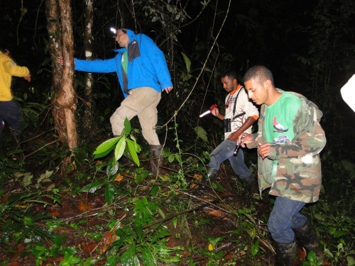 CBC Un poco del Chocó-Tracking the army ants